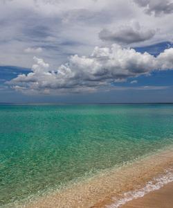 Коса Беляус