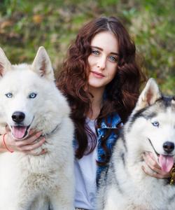 Питомник хаски, Карелия