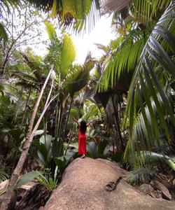 Остров Кюрьёз