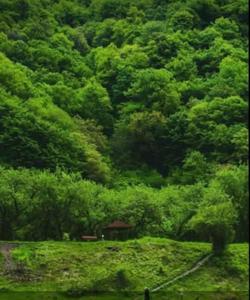 Гахский район Азербайджана