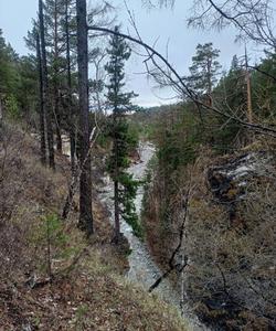 Местный пейзаж