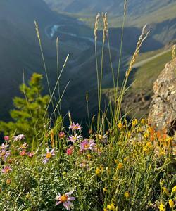 Тур на Алтай