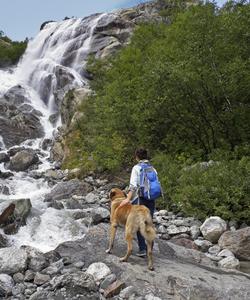 Тур в Домбай