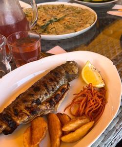 Форелевое хозяйство Главрыба