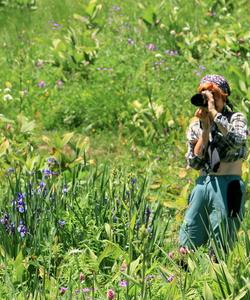Тур по Дигории