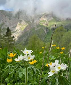 Природа Адыгеи