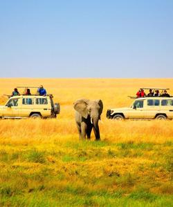 Сафари в национальном парке Амбосели
