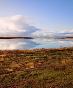 Полуостров Рыбачий
