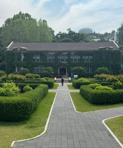 Университет Ёнсе