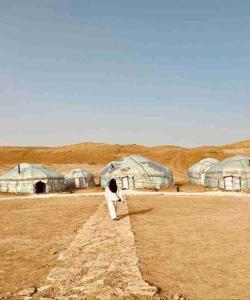 Каракалпакские юрты