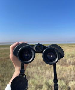 тур с наблюдением за птицами