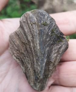 геологический тур