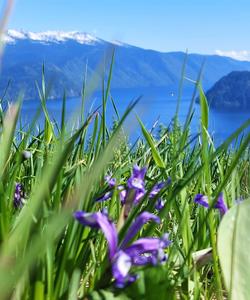 Яйлю. Заповедник Телецкого озера