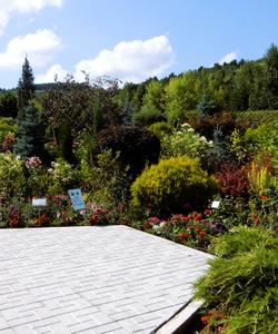 Дендропарк «Холмогорье»