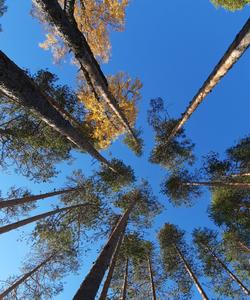 Тур в Карелию