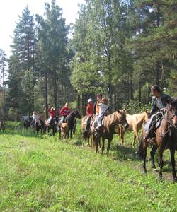 Конная прогулка в Башкирии