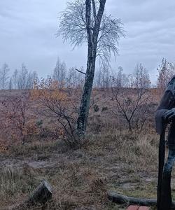 Тур по Калининградской области