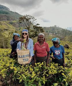 Чайные плантации на Шри-Ланке