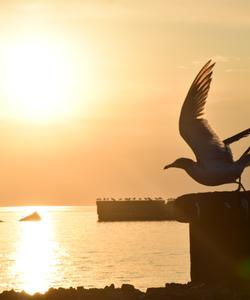 Тур на Сахалин