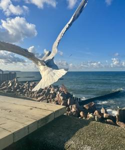 Балтийское море