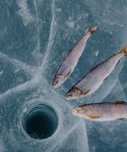 Лед Байкала