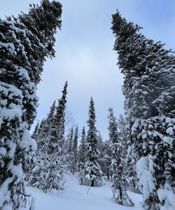 Кольский полуостров