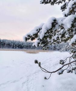 Прогулка в Подмосковье