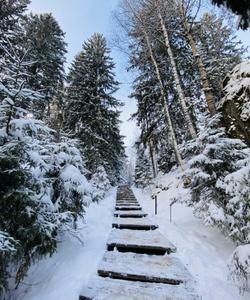 Тур в Карелию