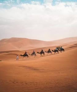 Пустыня Сахара