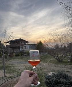 Местное вино