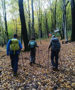 Туристический поход