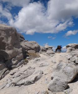 Конный тур на Алтае