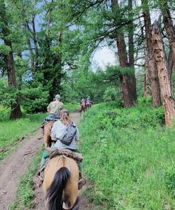 конная прогулка