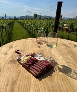 Дегустация вина в Черногории