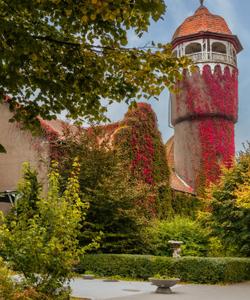 Экскурсия по Светлогорску