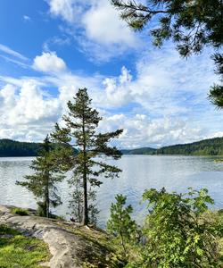 Тур в Карелию