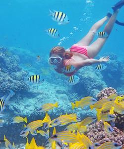 Снорклинг на Сейшелах