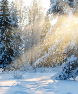 Зимний пейзаж