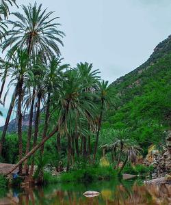 Райская долина