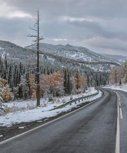 Зима на Алтае
