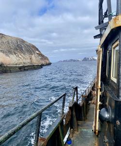 Морская прогулка в Териберке