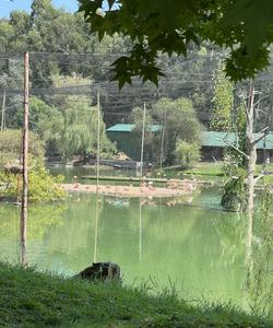 Парк Шекветили