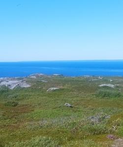 Остров Пурлуда