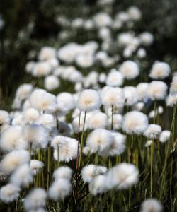 Джип-тур на полуострова Средний и Рыбачий