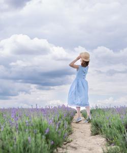 Лавандовые поля в Липецкой област