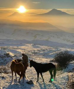 Природа зимнего Еревана