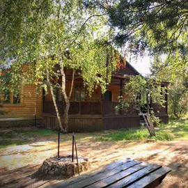 Элина Ф.-photo