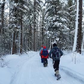 Зимний пейзаж
