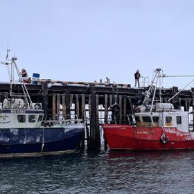 Мурманский порт