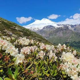 Вид на Эльбрус 